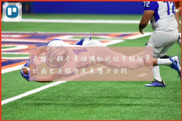 足球小狮子是谁揭秘这位年轻球员的成长历程与未来潜力分析