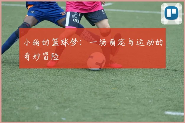 小狗的篮球梦：一场萌宠与运动的奇妙冒险